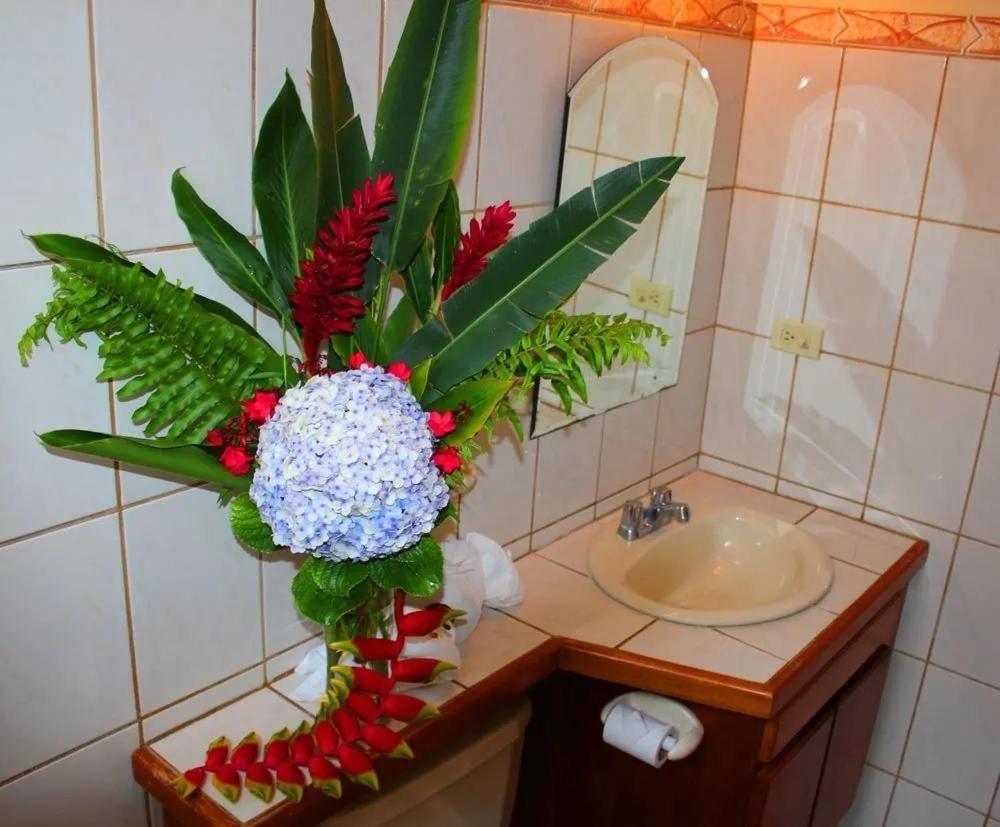 Hotel Ecological Inn 聖荷西 外观 照片